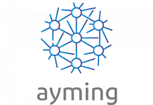 cliente-seletia.pdf_0009_ayming